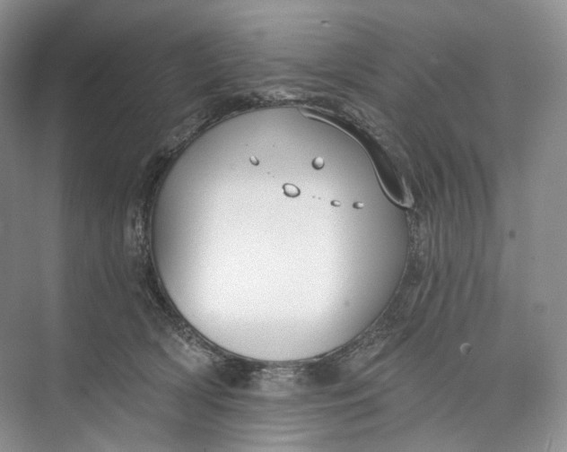 X0000073480418200608140821