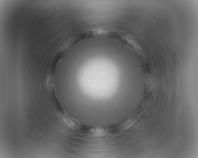 X0000073480419200608140821