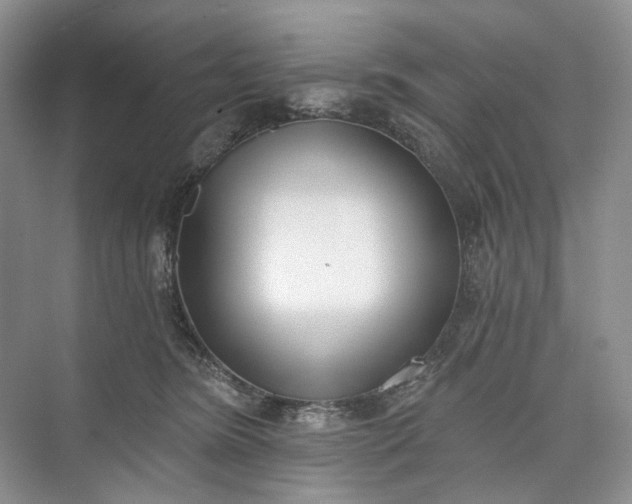 X0000073480420200608140821