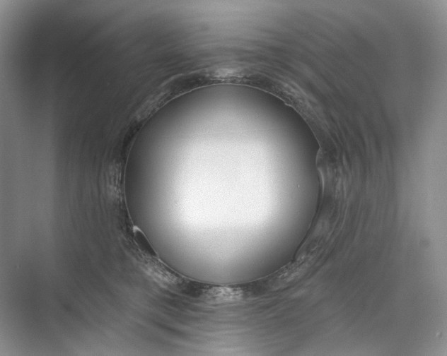 X0000073480421200608140821