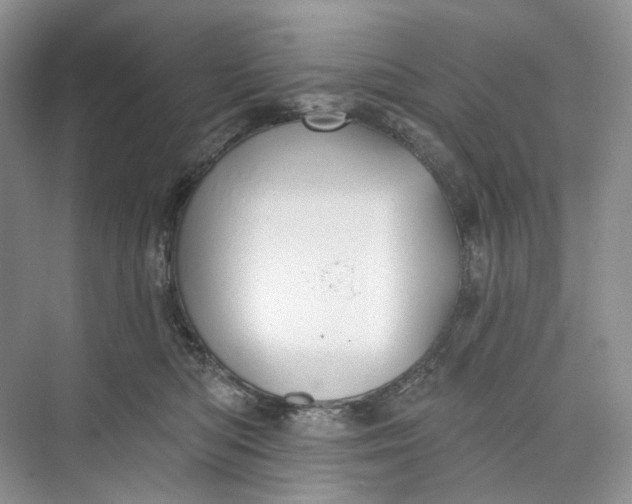 X0000073480422200608140821