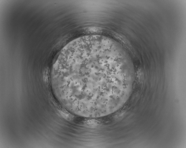 X0000073480423200608140821