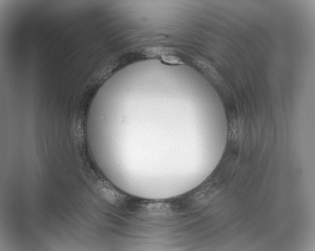 X0000073480426200608140821