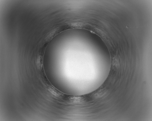 X0000073480428200608140821