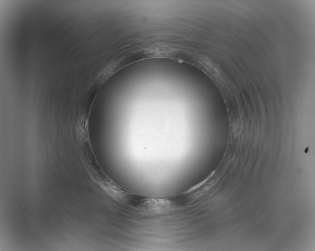 X0000073480429200608140821