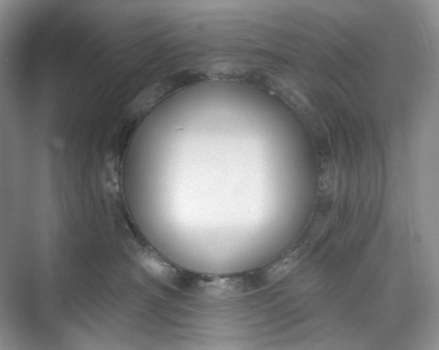 X0000073480430200608140821