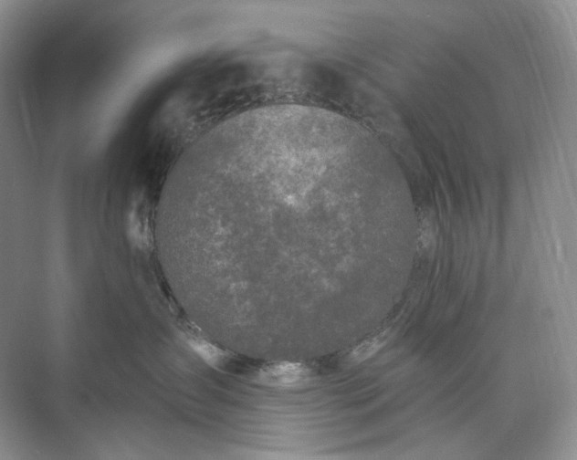 X0000073480431200608140821