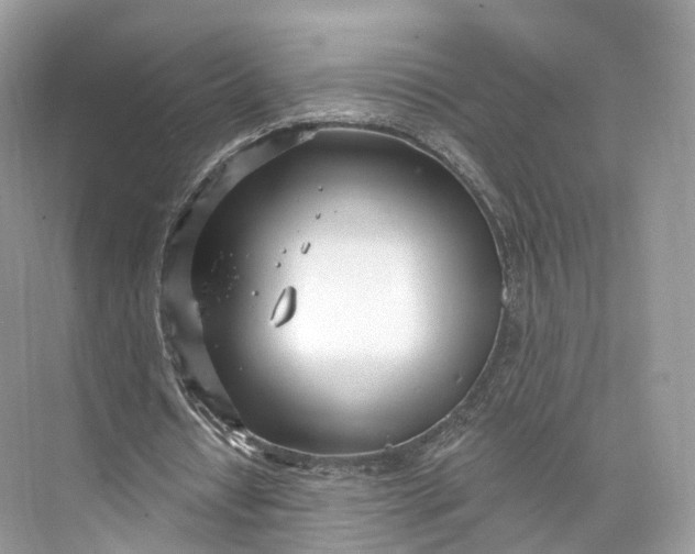 X0000073480434200608140820