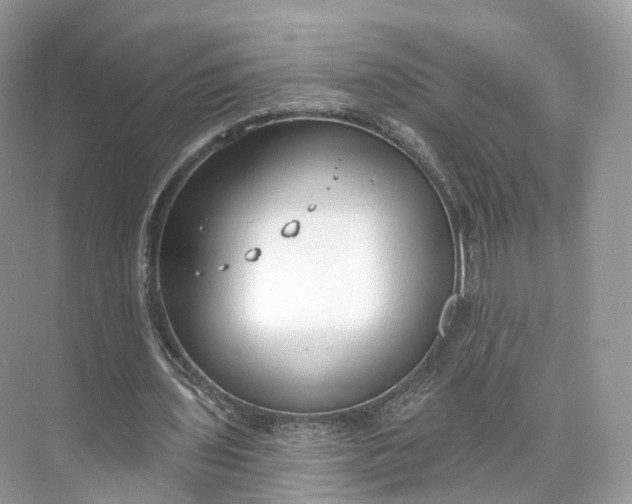 X0000073480435200608140820