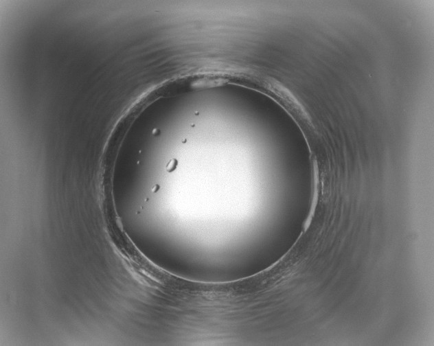 X0000073480436200608140820