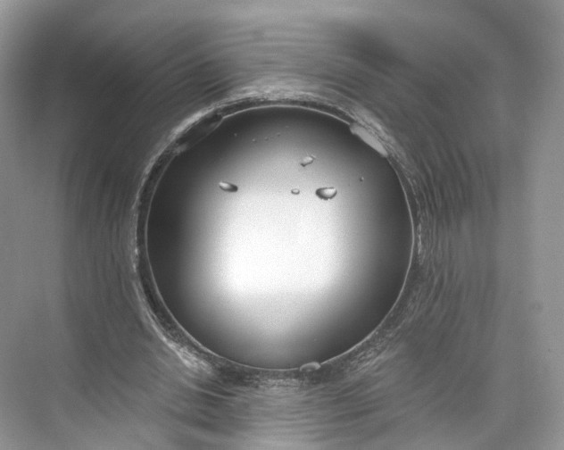 X0000073480438200608140820