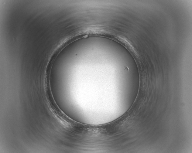 X0000073480439200608140820