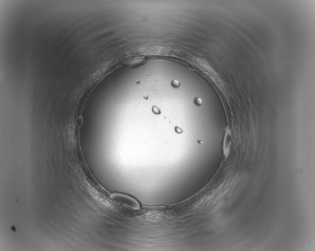 X0000073480441200608140820