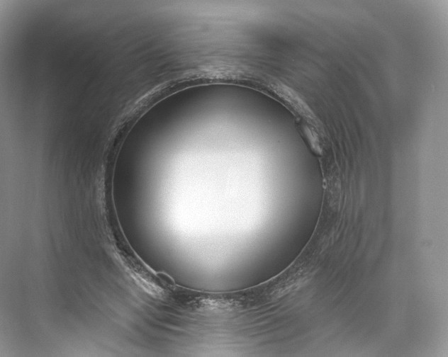 X0000073480442200608140820