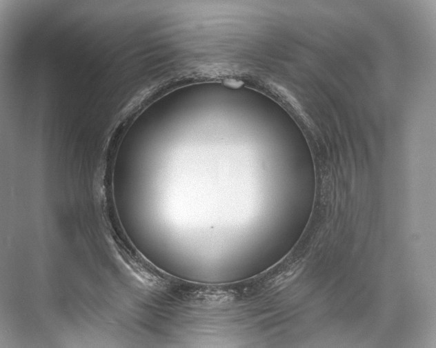 X0000073480443200608140820