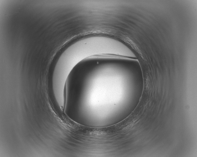 X0000073480444200608140820