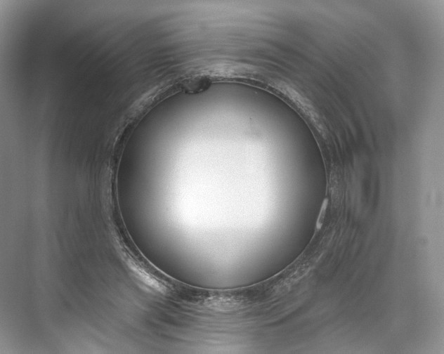 X0000073480445200608140820