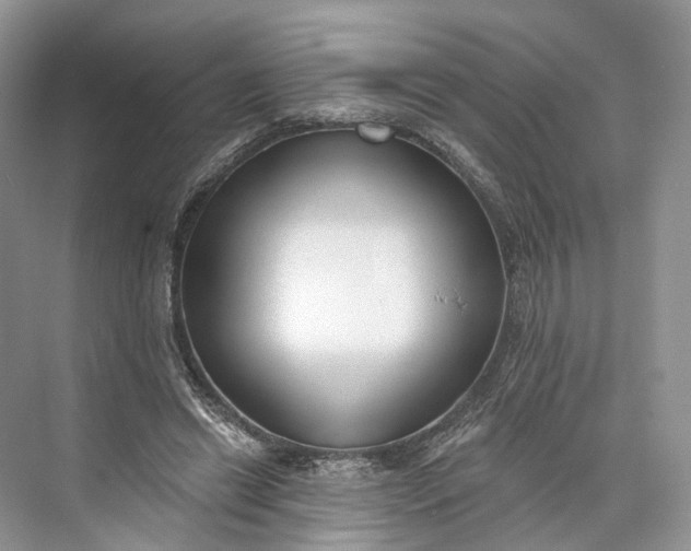 X0000073480446200608140820