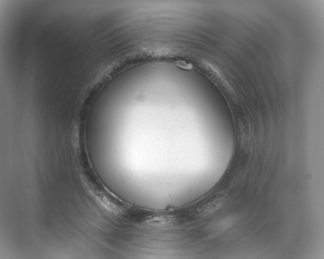 X0000073480447200608140820