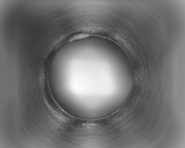 X0000073480448200608140820