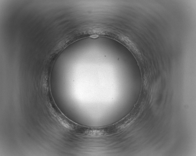 X0000073480449200608140820