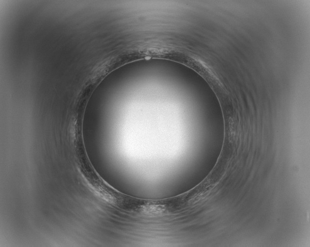 X0000073480451200608140820