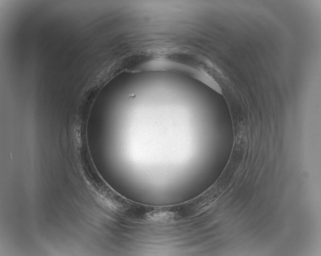 X0000073480452200608140820