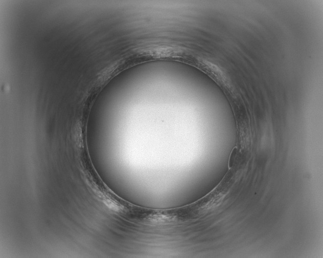 X0000073480453200608140820