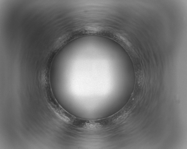 X0000073480455200608140820