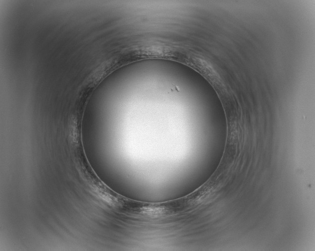 X0000073480457200608140820