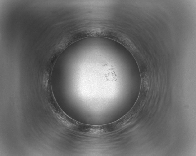 X0000073480458200608140820