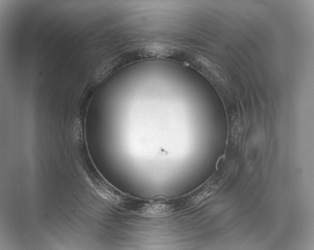 X0000073480459200608140820