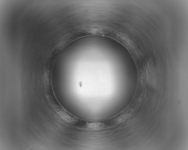 X0000073480461200608140821