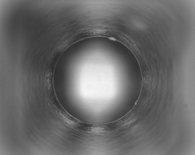 X0000073480462200608140821