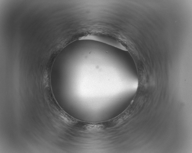 X0000073480465200608140821