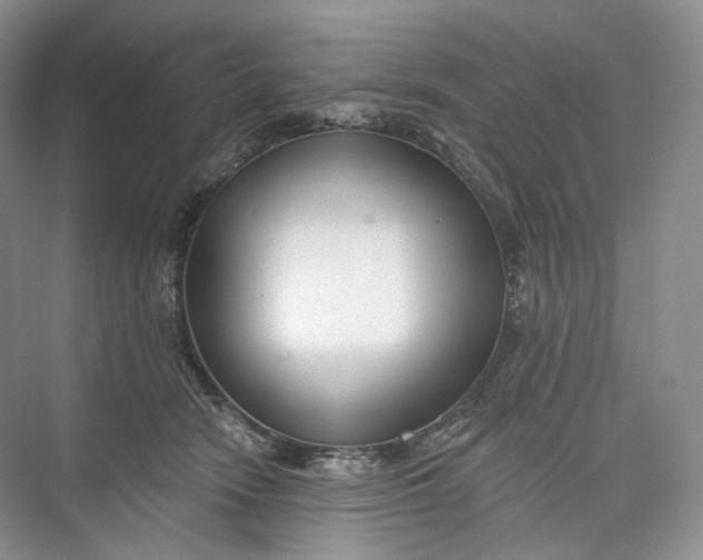 X0000073480466200608140821