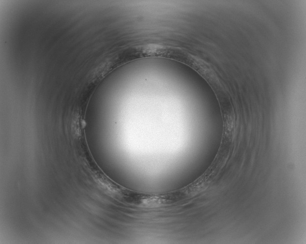 X0000073480470200608140821