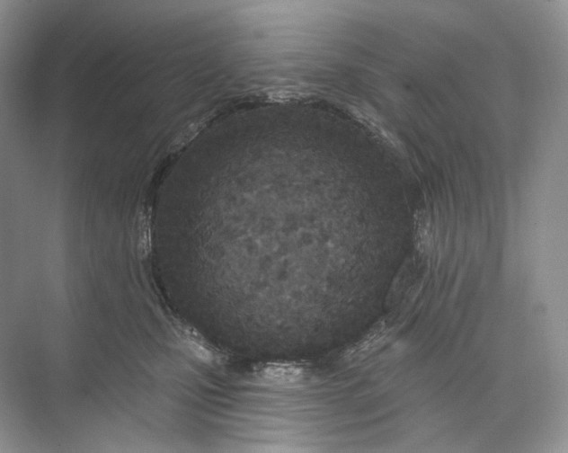 X0000073480471200608140821