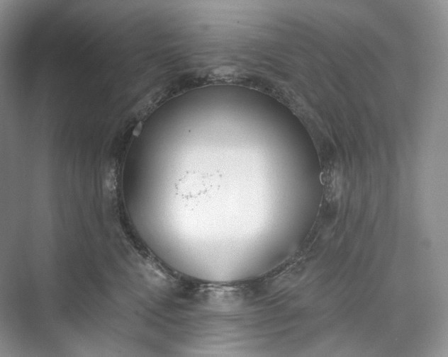 X0000073480472200608140821