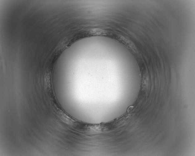 X0000073480473200608140821