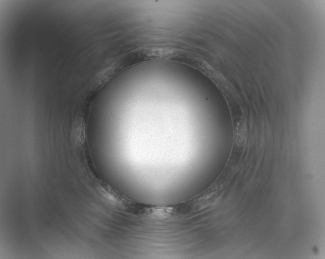 X0000073480474200608140821