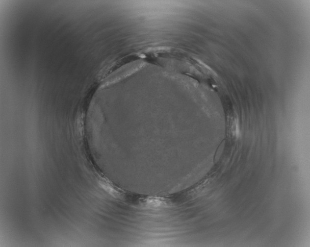 X0000073480475200608140821