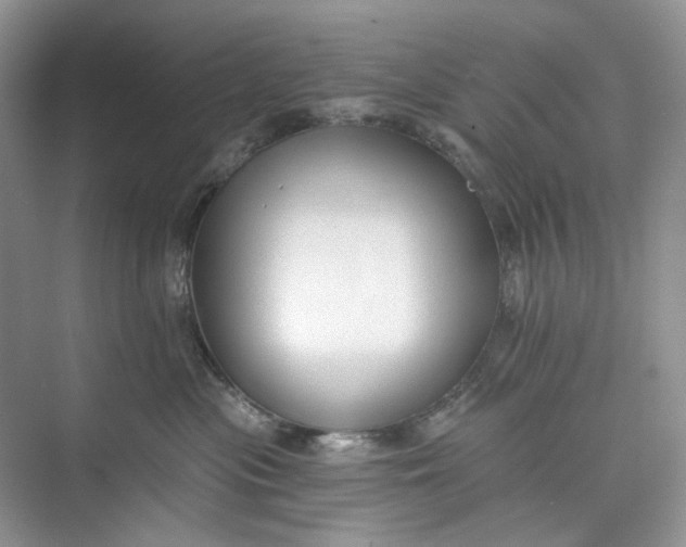 X0000073480477200608140821