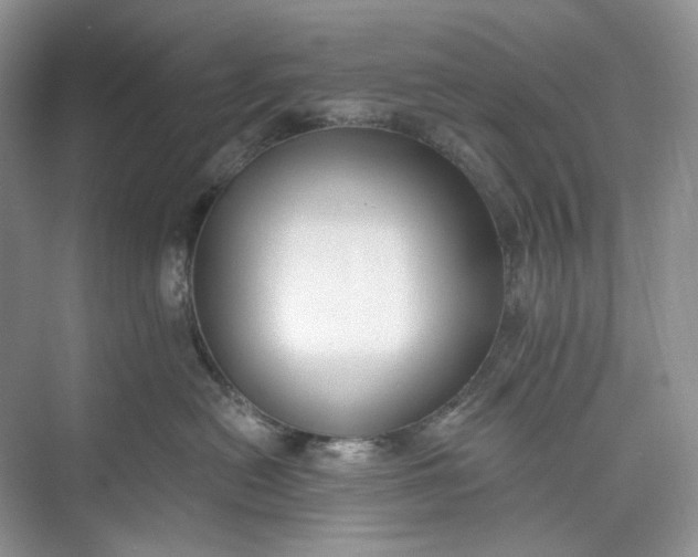 X0000073480478200608140821