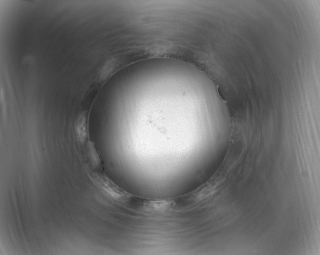 X0000073480479200608140821