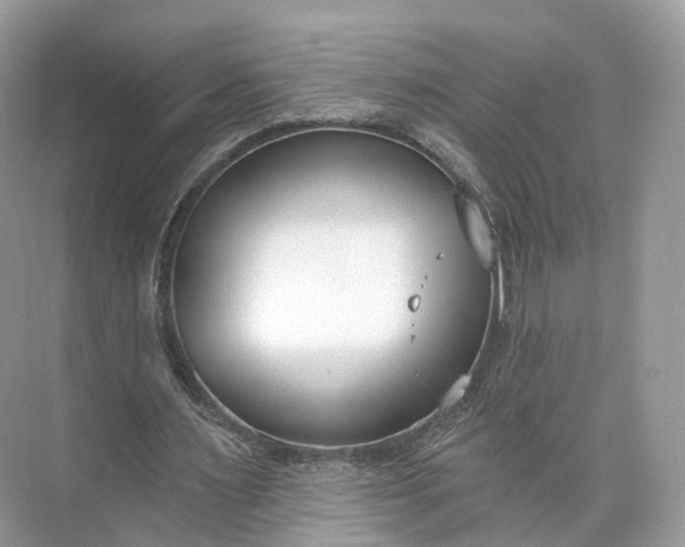 X0000073480483200608140820