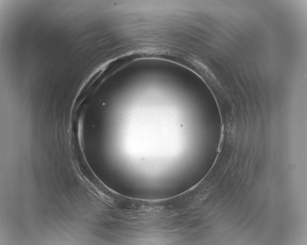 X0000073480484200608140820