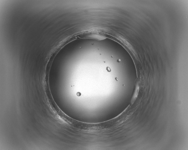 X0000073480485200608140820