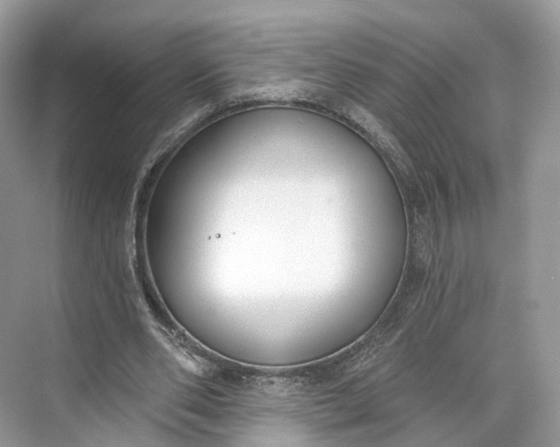 X0000073480486200608140820