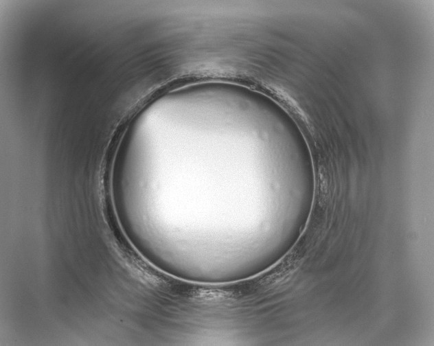 X0000073480487200608140820